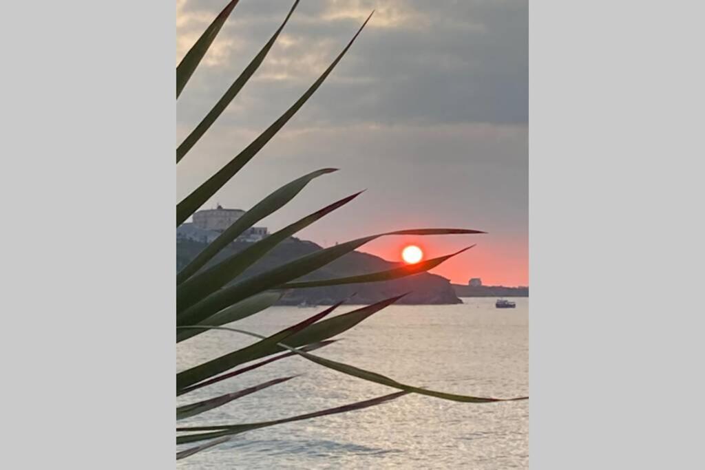 Beautiful 3 Bedroom Apartment By The Sea 新码头 外观 照片